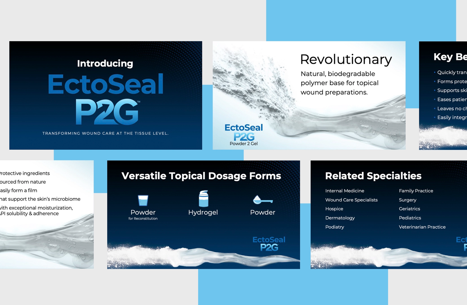 Pharmaceutical ppt example